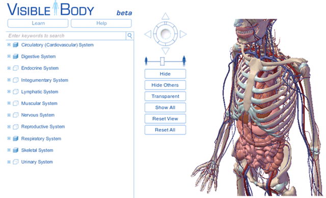 systems of the human body. 2011